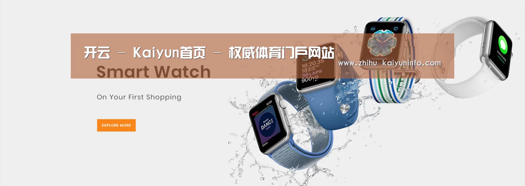 某某网络科技有限公司